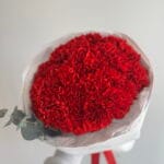 Bouquet of bright red carnations wrapped in white paper with a hint of eucalyptus leaves showing on the side